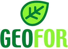 Geofor S.P.A.